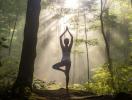 Yoga meets Waldbaden